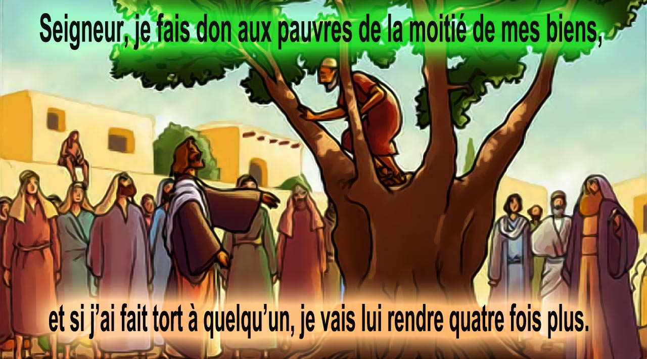 Homélie du 31e dimanche du Temps ORdinaire 2016
