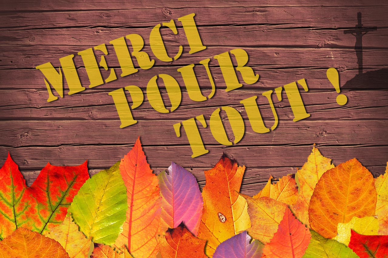 homélie du 28e dimanche du Temps Ordinaire