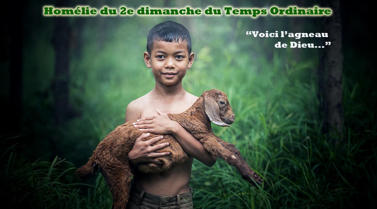 Voici l'agneau de Dieu