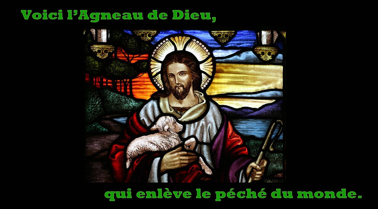 Voici l’Agneau de Dieu, qui enlève le péché du monde