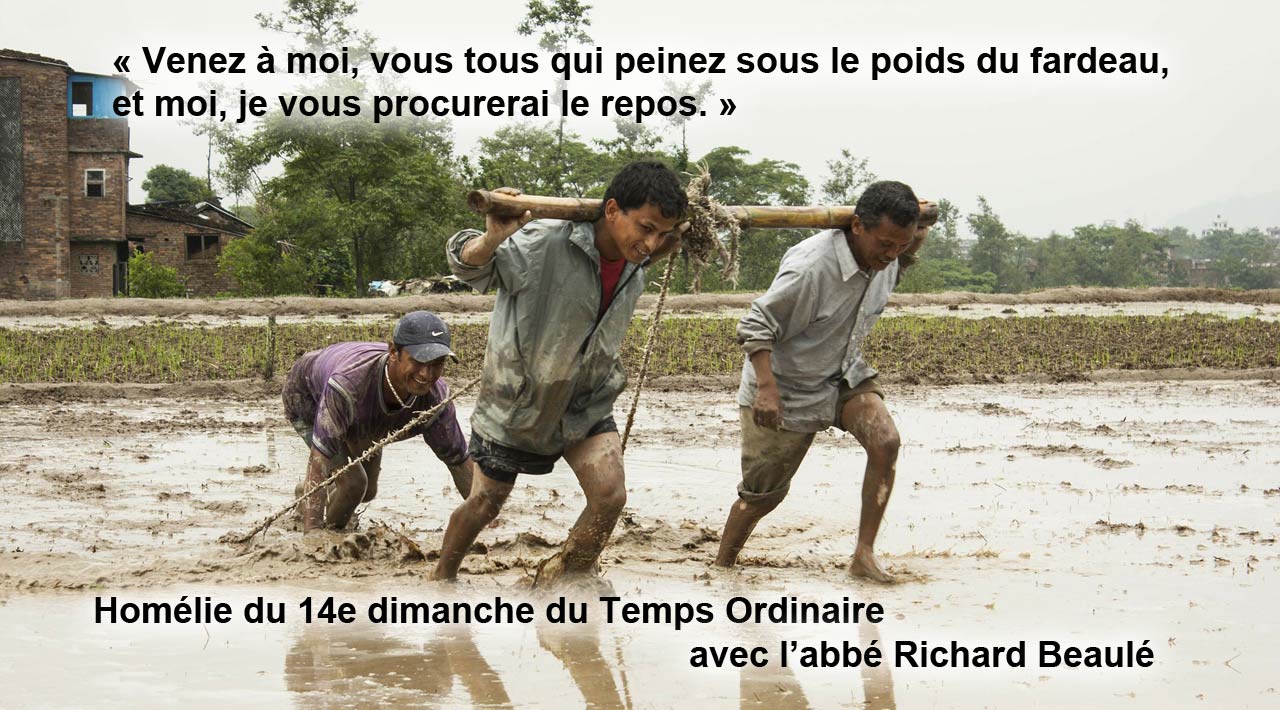 Venez à moi, vous tous qui peinez sous le poids du fardeau, et, je vous procurerai le repos.