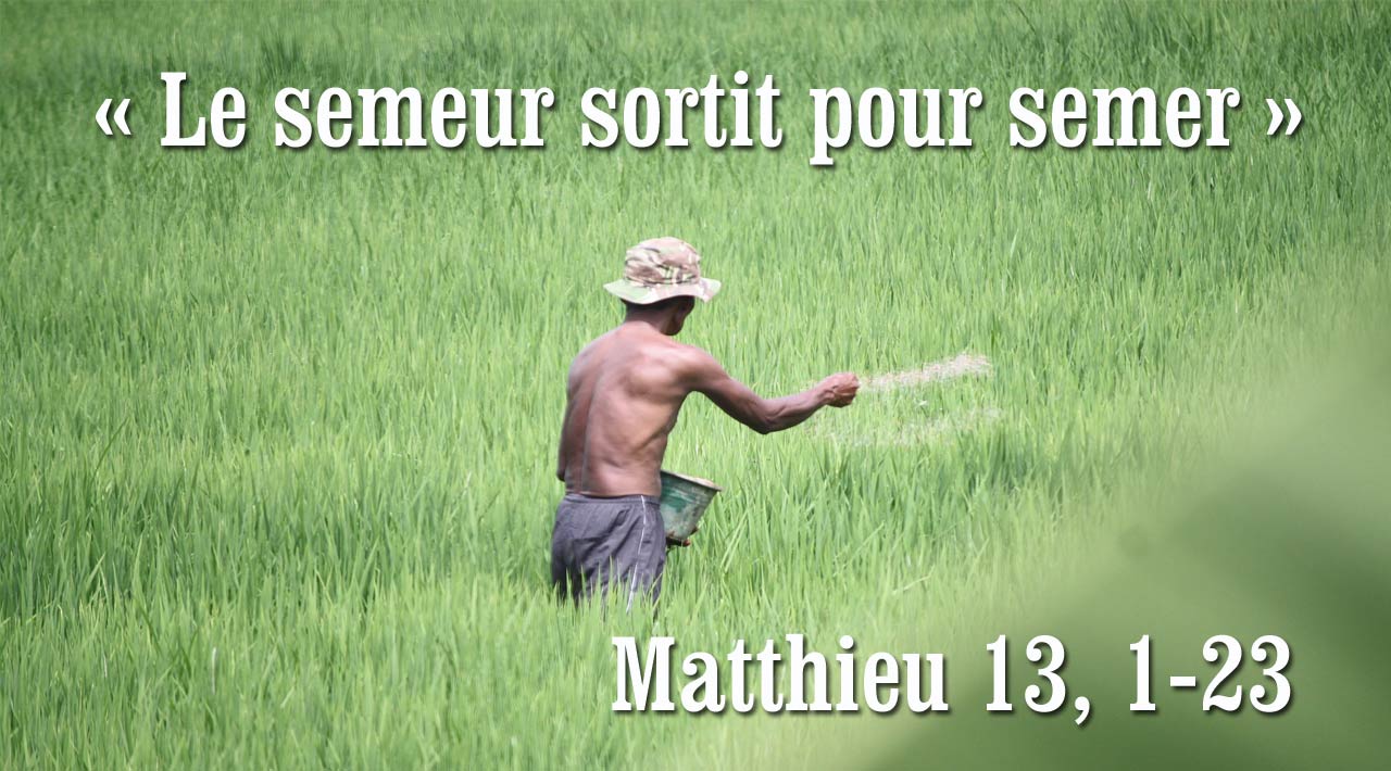 Le semeur