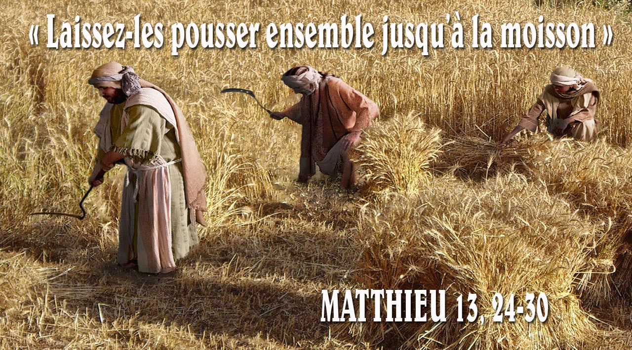 La moisson