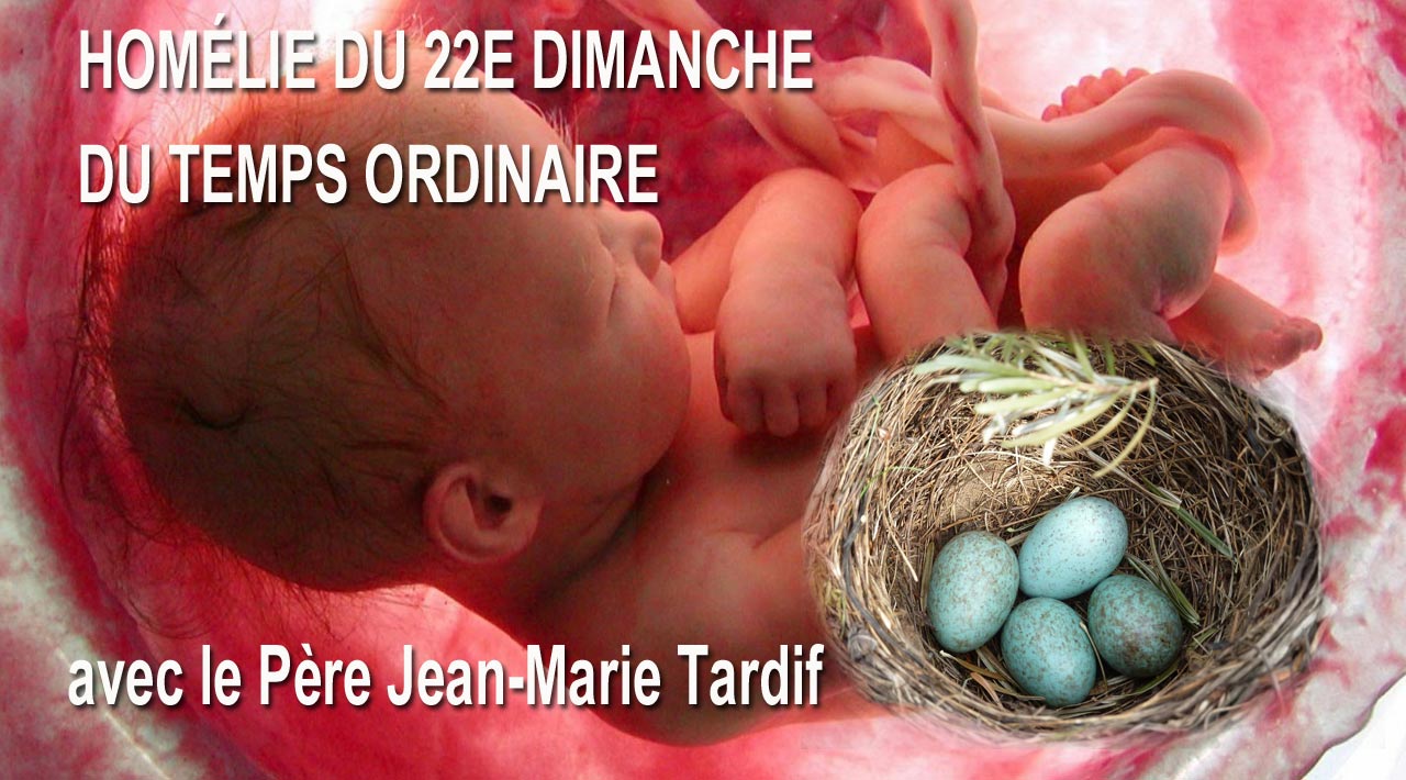 Homélie du 22e dimanche du Temps Ordinaire 2017