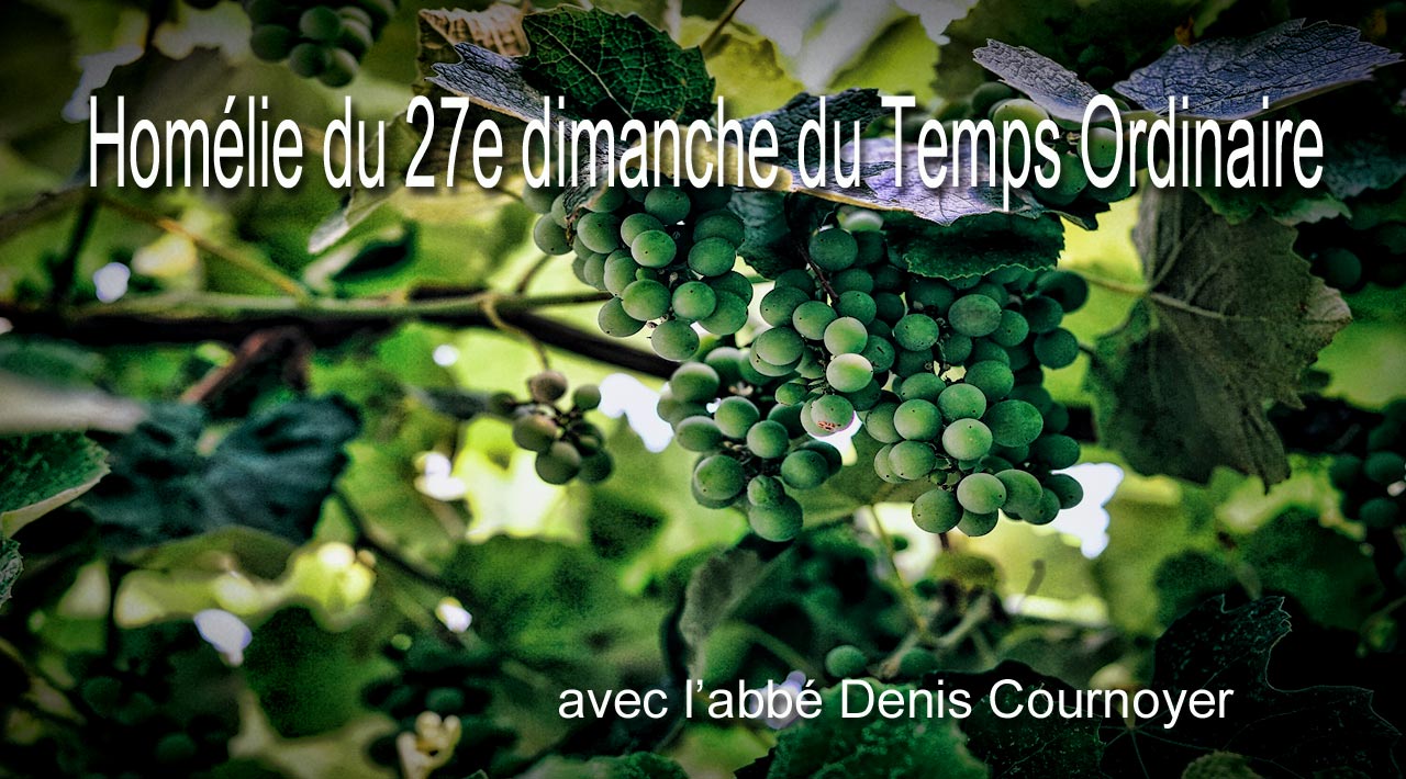 Homélie du 27e dimanche du Temps Ordinaire