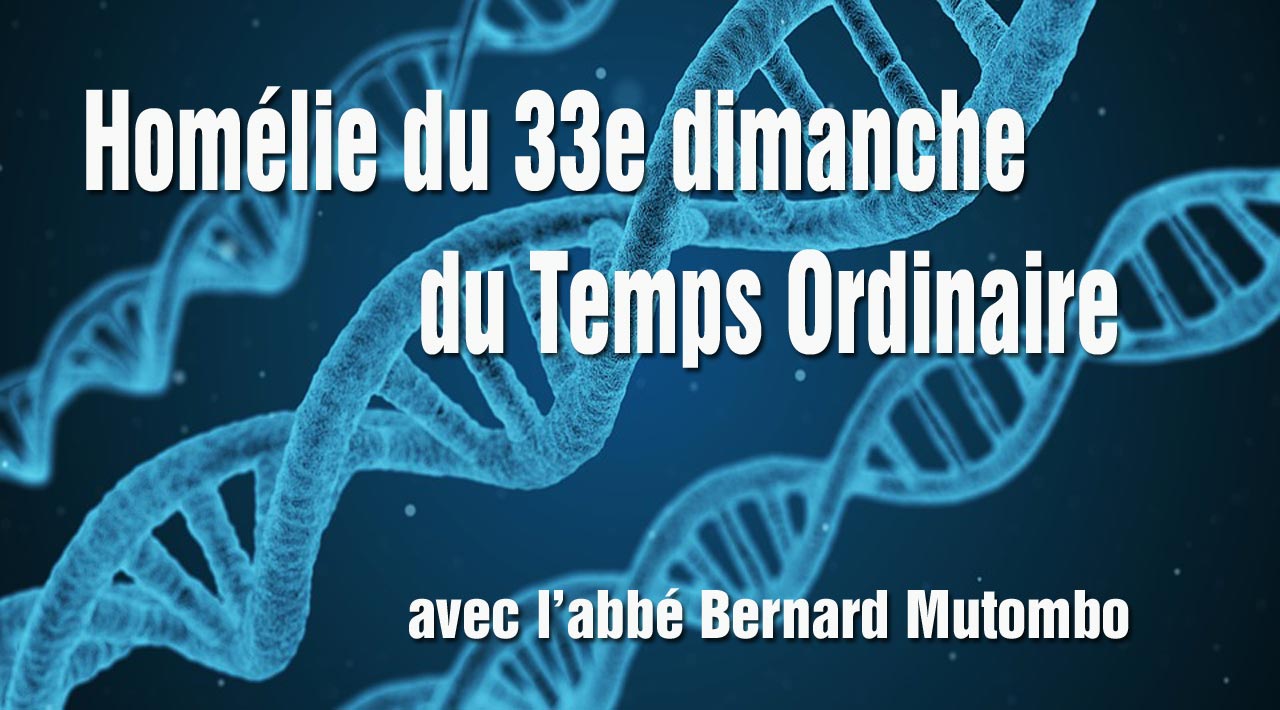 Homélie du 33e dimanche du Temps Ordinaire