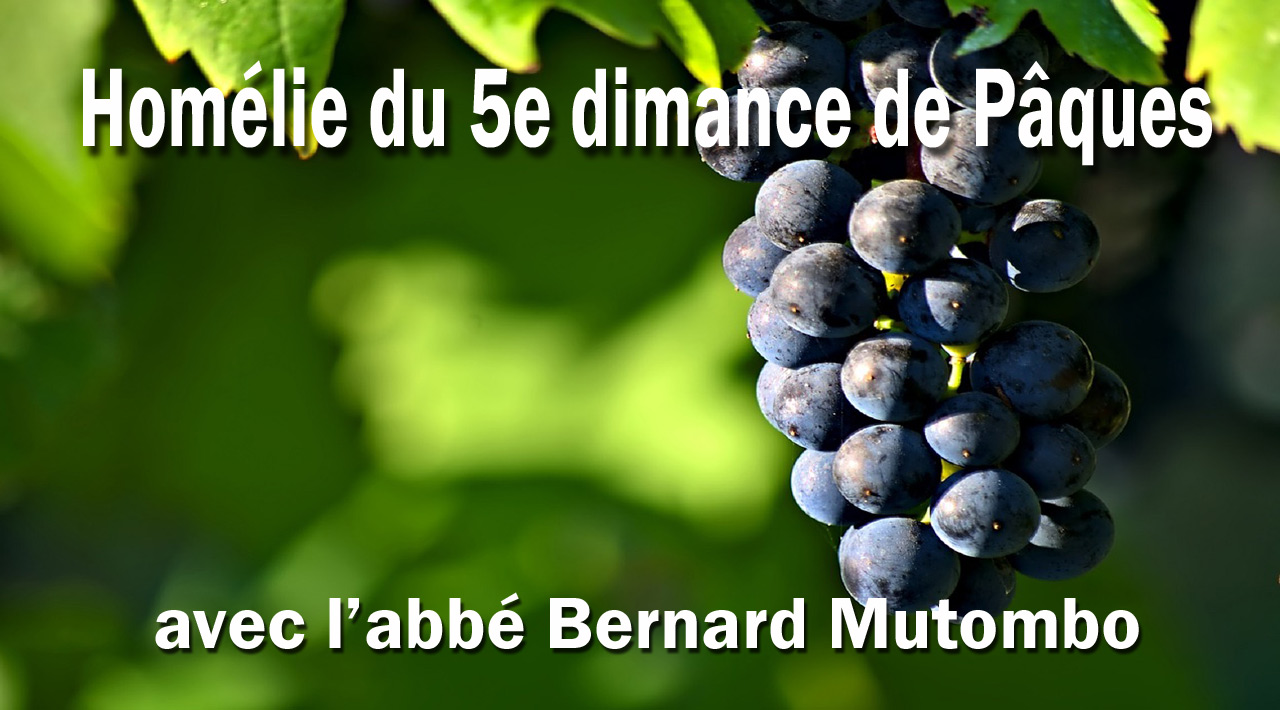 La vigne et le sarment - 5e dimanche de Pâques