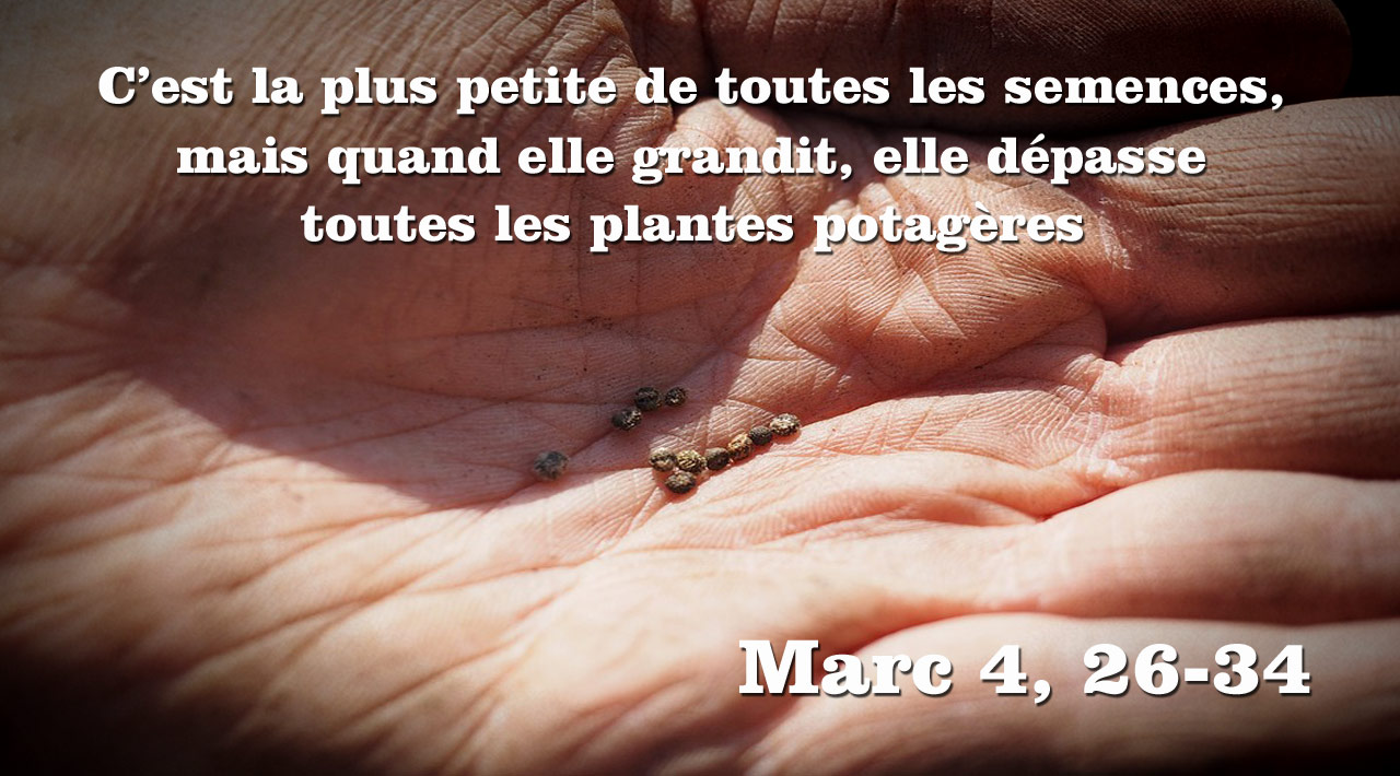 Évangile: Marc 4, 26-34