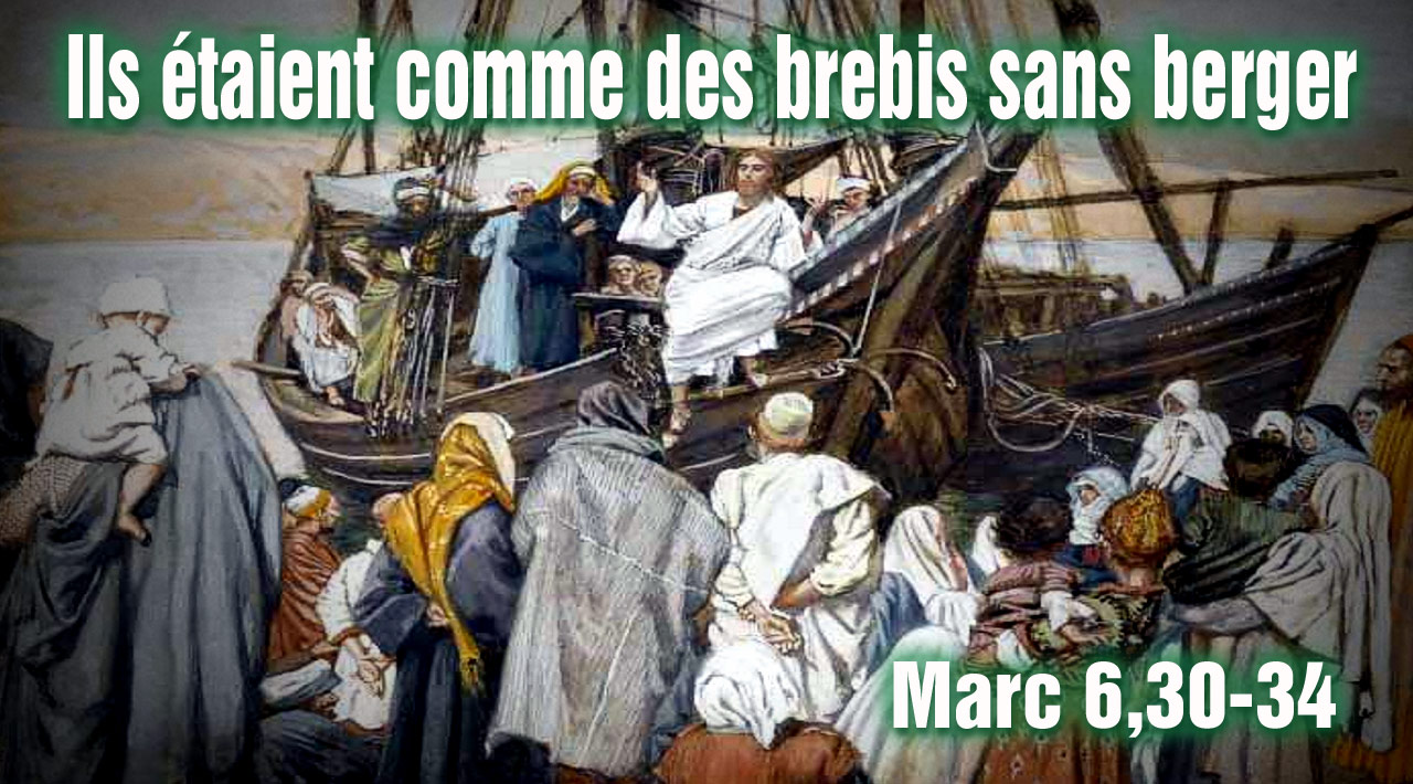Ils étaient comme des brebis sans berger