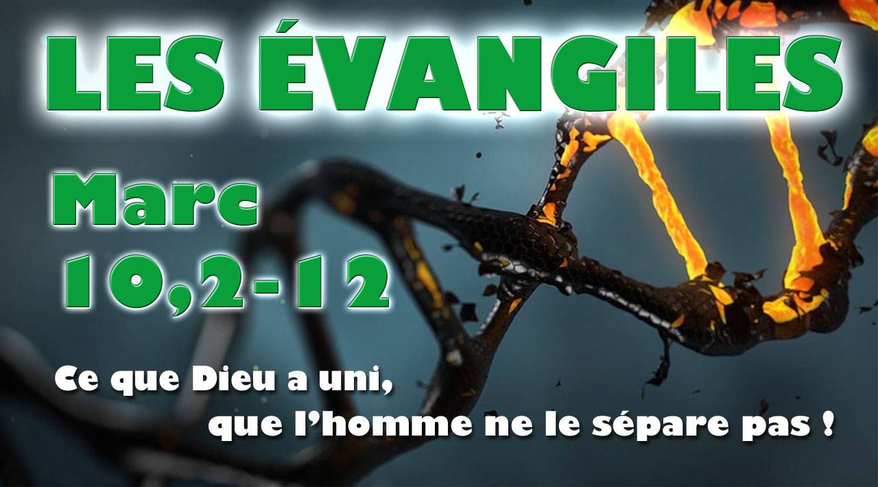 Ce que Dieu a uni, que l'homme ne le sépare pas.