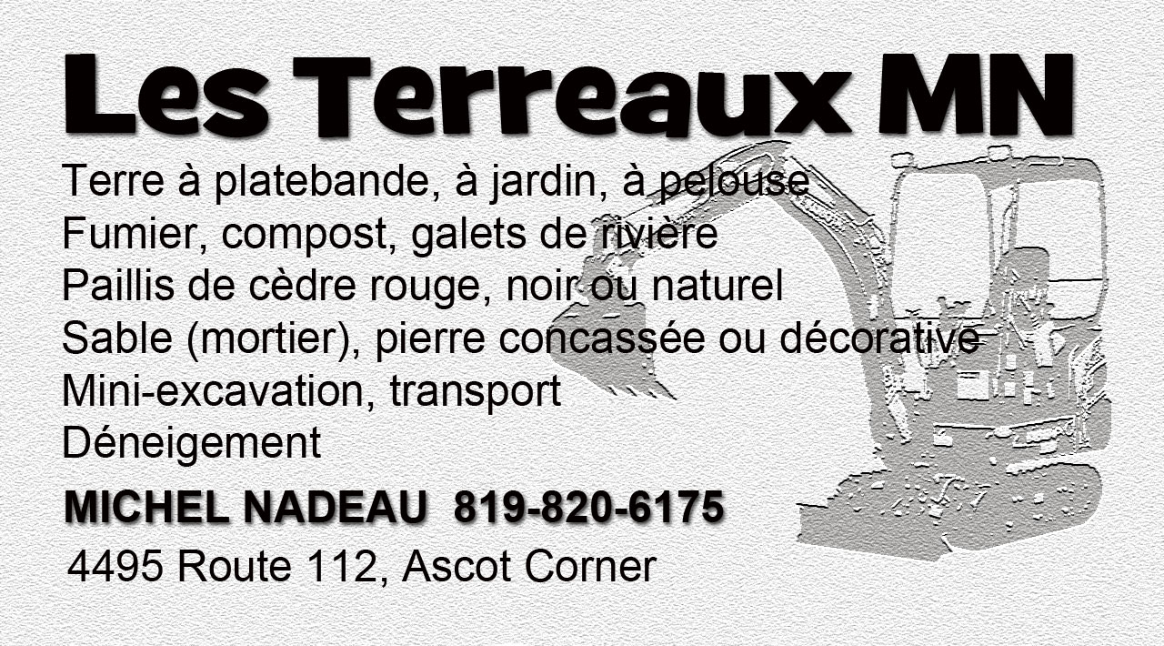Michel Nadeau mini-excavation