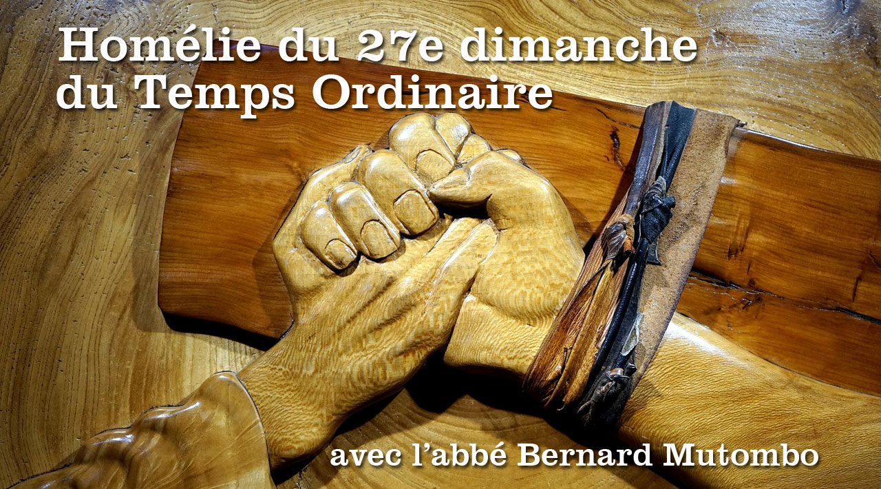 Homélie du 27e dimanche du Temps Ordinaire