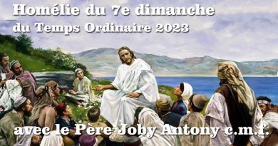 Homélie du 7e dimanche du Temps Ordinaire 2023